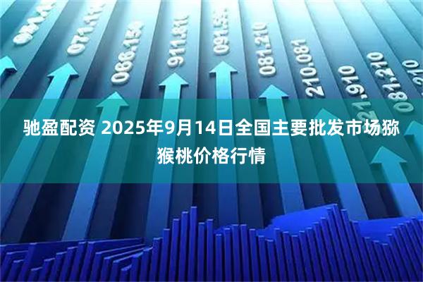 驰盈配资 2025年9月14日全国主要批发市场猕猴桃价格行情