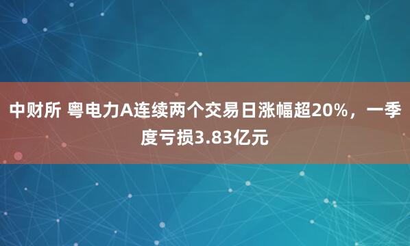 中财所 粤电力A连续两个交易日涨幅超20%，一季度亏损3.83亿元