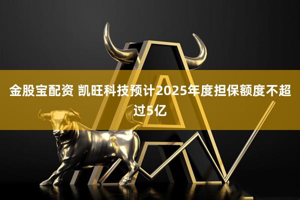 金股宝配资 凯旺科技预计2025年度担保额度不超过5亿
