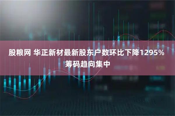 股粮网 华正新材最新股东户数环比下降1295% 筹码趋向集中