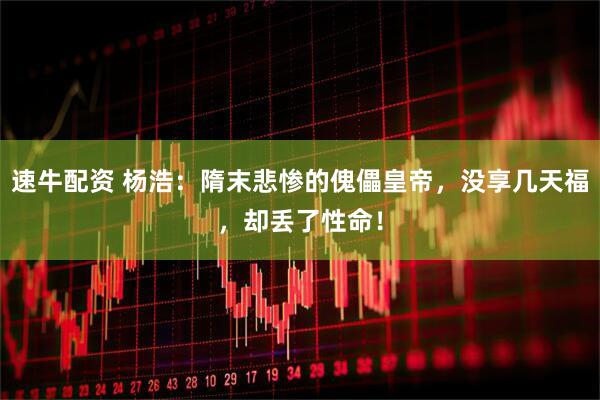 速牛配资 杨浩:隋末悲惨的傀儡皇帝,没享几天福,却丢了性命!