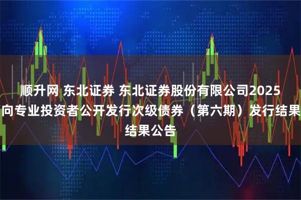 顺升网 东北证券 东北证券股份有限公司2025年面向专业投资者公开发行次级债券(第六期)发行结果公告